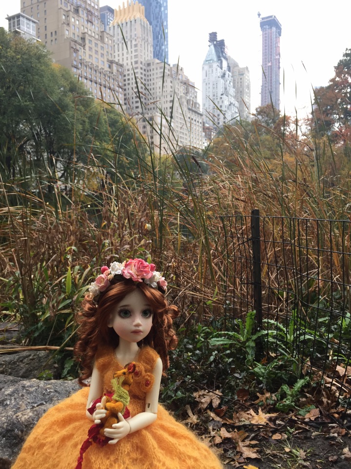 Луна гуляет в Центральном Парке в Манхаттане (фото 7)