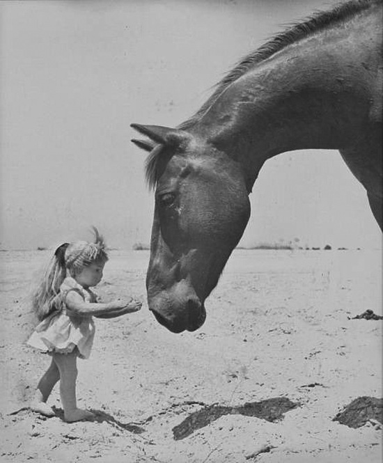 Одинокая кукла. Детский писатель Dare Wright