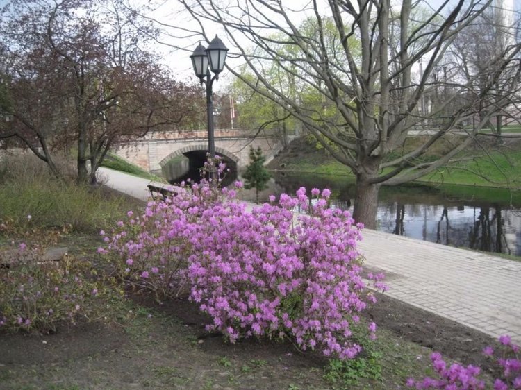 Рига - Москва, я жду тебя