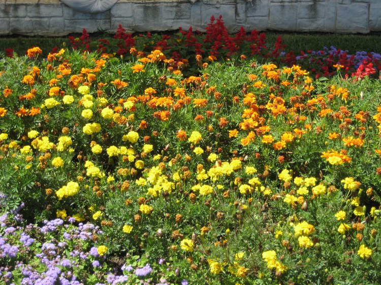 Вот такая вот Болгария — Туризм и путешествия: фотоотчеты из поездок (фото 3)