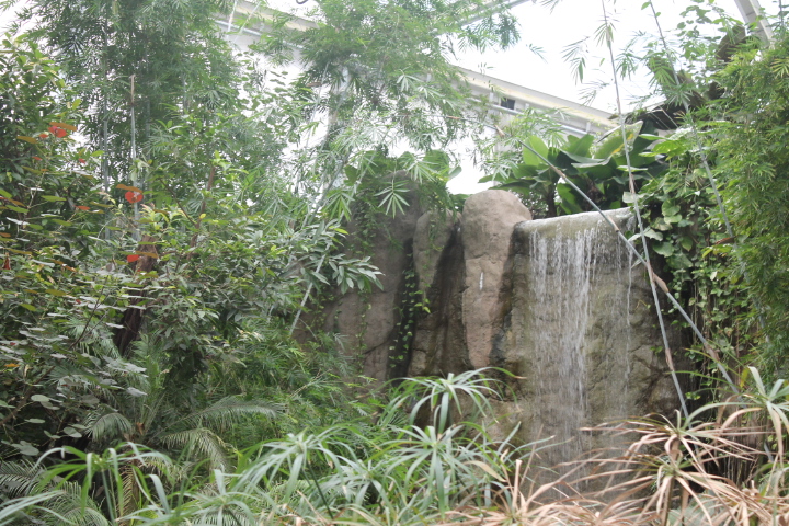 По Германии: зоопарк Лейпцига, часть 2