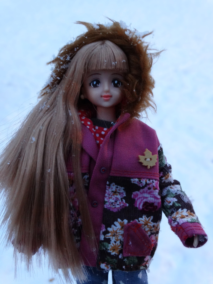 Эти славные куколки Дженни (фото 8)