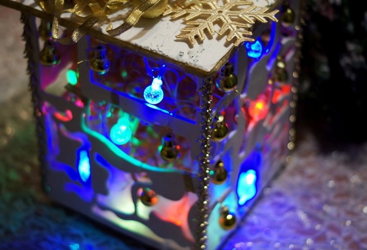 Праздничный фонарь — Другие хобби и увлечения: сад (фото 8)