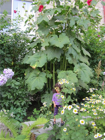 Лиллит от Kaye Wiggs. Девочка в сиреневом (фото 7)