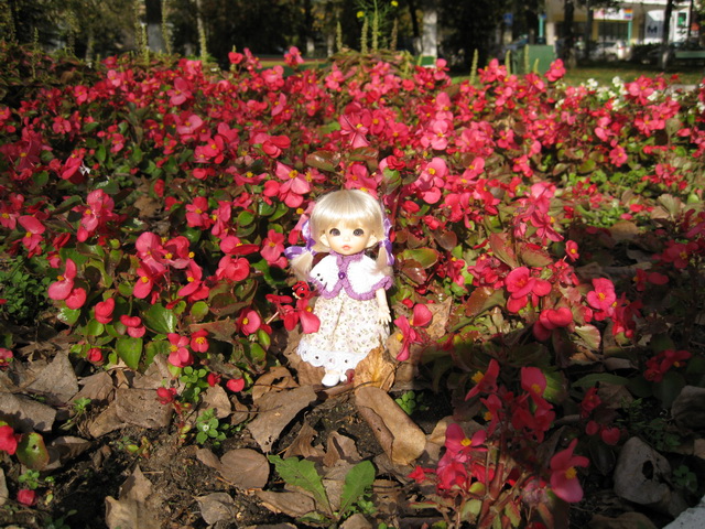 Золотая осень или прогулка по городу БЖД Пукифи Анте -- Элис | Бэйбики Золотая осень или прогулка по городу БЖД Пукифи Анте -- Элис (фото 8)