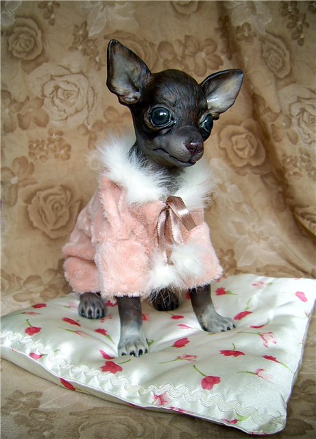 Подружка--той-терьер. ООАК Светланы Гришко