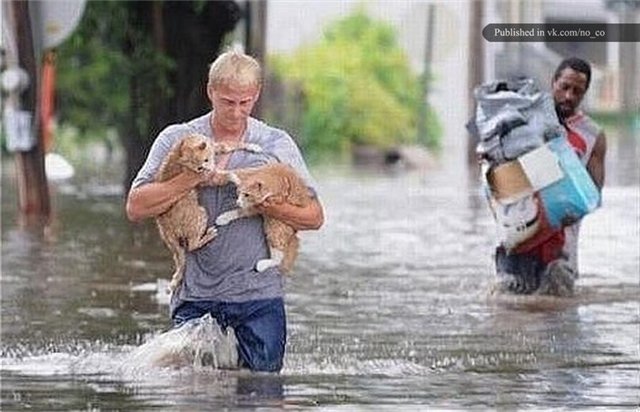 Не просто фото | Бэйбики Не просто фото — Болталка и разговоры обо всем: жизнь (фото 10)