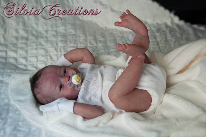 Новый молд Will от Натали Шолль