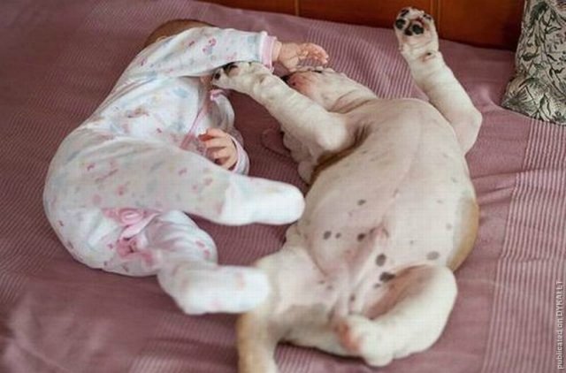 День дурака или день смеха! Вы готовы шутить и смеяться