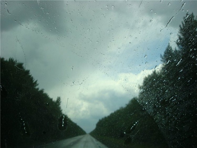 Моя нежная малышка Светлана. Луна Litllefee от Fairyland (фото 5)