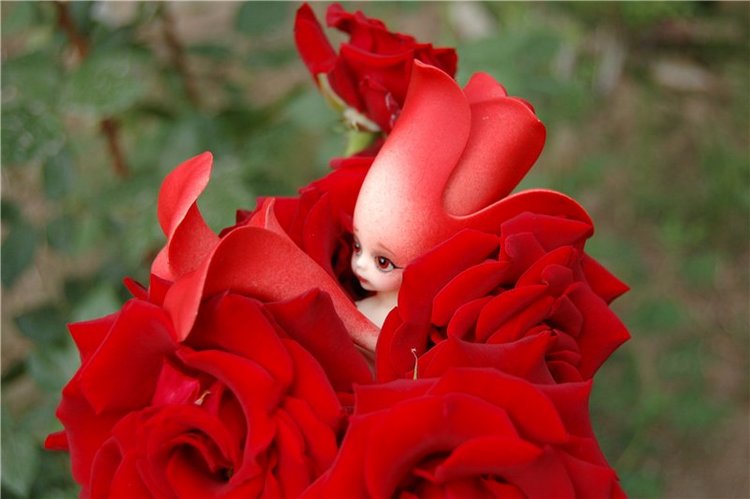 Прогулка по саду Doll zone (фото 3)