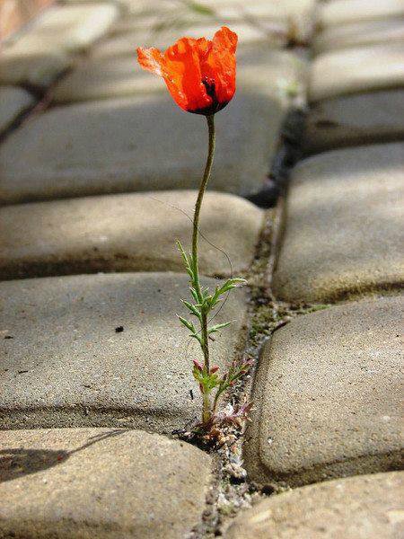 10 секретов богатства — Болталка и разговоры обо всем: жизнь