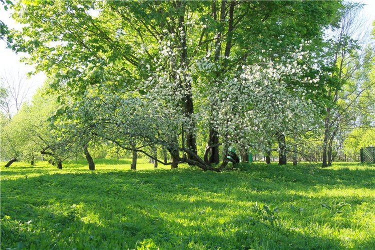 Субботний вояж. Заключительная часть