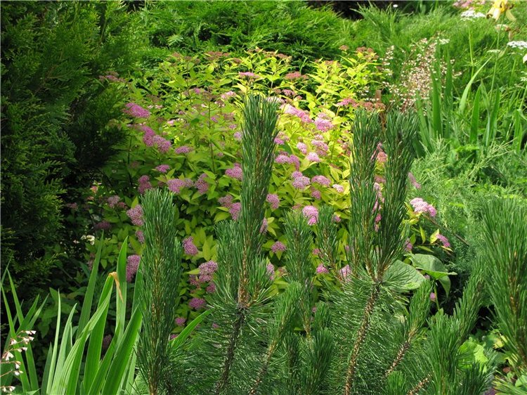 Кашин - город русского сердца. Часть седьмая. Вознесенский кафедральный собор