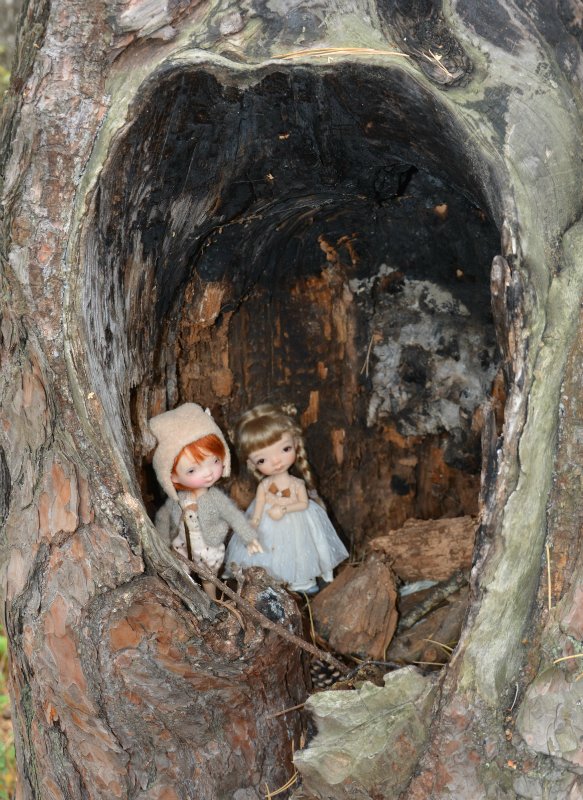 Осенняя прогулка! Irrealdoll (фото 5)