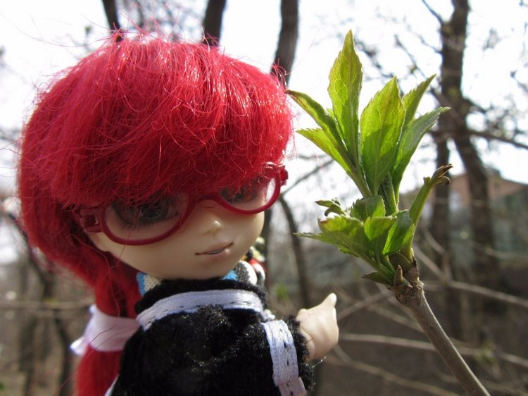 С днем рождения, Грелль — Куклы Pullip (Пуллип) (фото 10)