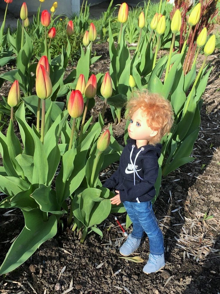 Антошка от Cova Studio, Elena Tkachenko (фото 2)