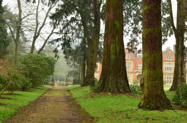 Зимнее солнце. Глава 10. Джаред из семьи Фоксов