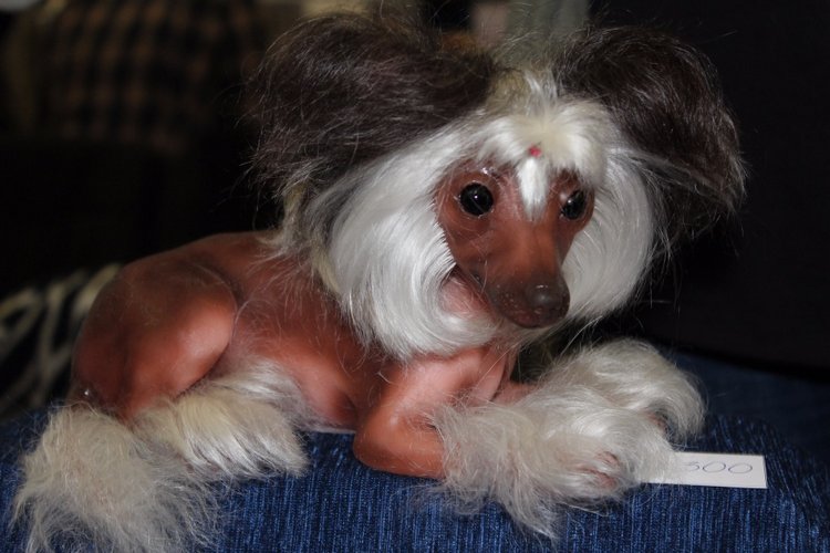 Выставка мишек, кукол и кукольной миниатюры в Голландии 2017 - часть пятая