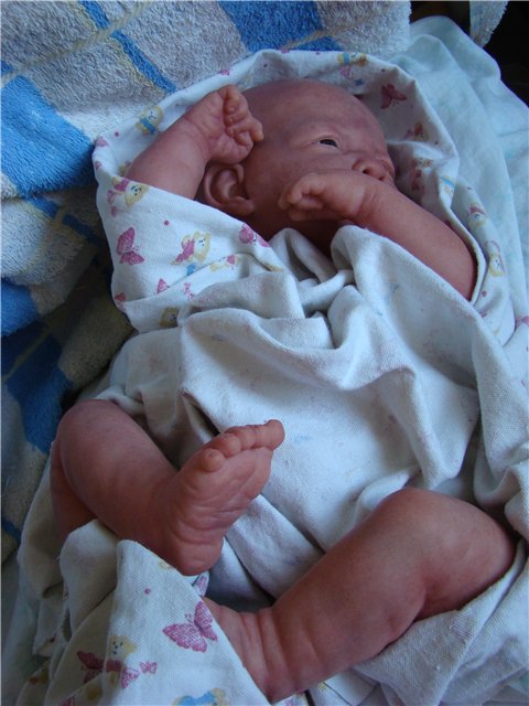 Филипок. Мой переделанный малыш беренжер (фото 4)