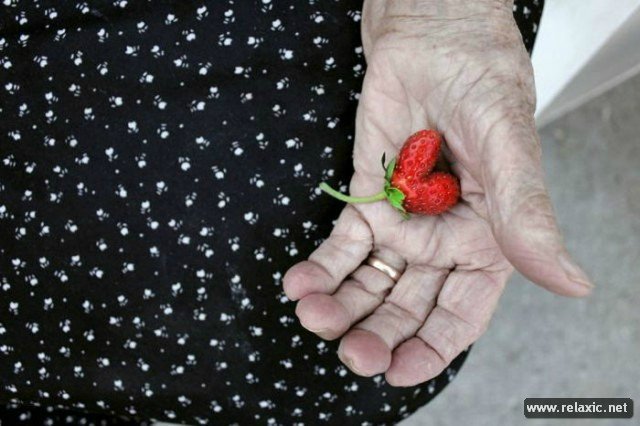 В детстве думал, сорок - старость… Слава Богу, показалось! или Стареть такое счастье -2. Иллюстрации Marius van Dokkum, авторские куклы Annie Wahl и стихи Инны Бронштейн | Бэйбики В детстве думал, сорок - старость… Слава Богу, показалось! или Стареть такое счастье -2. Иллюстрации Marius van Dokkum,