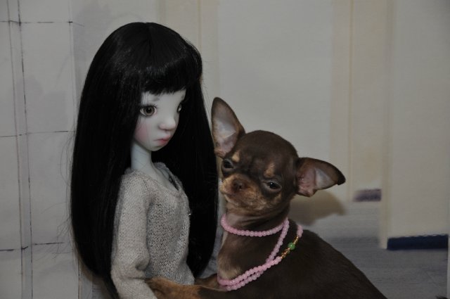 Моя первая СД от Кайе Виггз - Тобушка. Серая по скину, но такая яркая в жизни