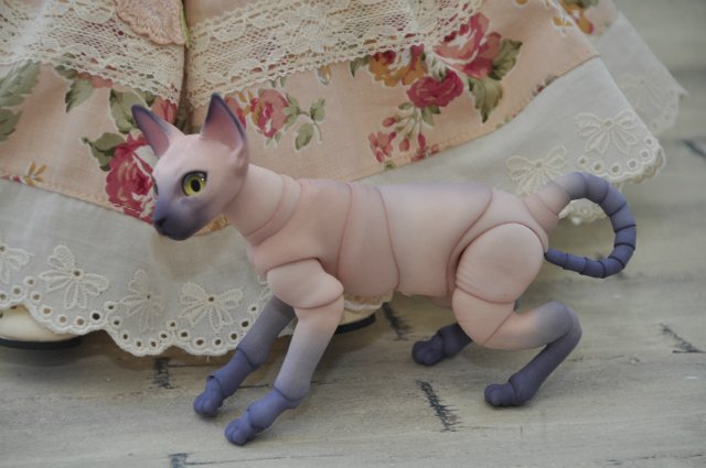 А кто к нам приехал!!! Мей Мей от Кайе Виггз и ее новый друг