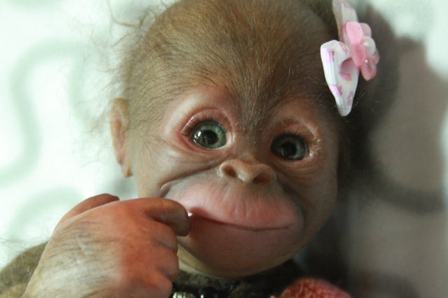 Бонька, обезьянка реборн Элины Кудрявцевой