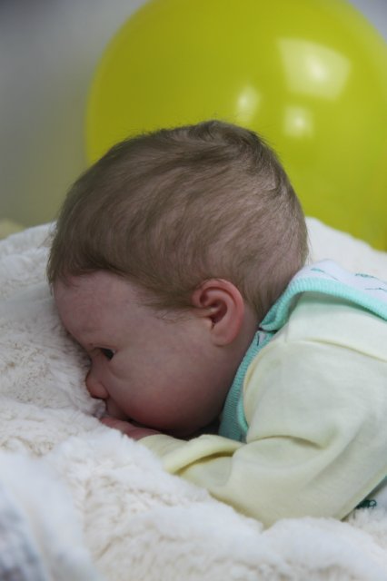 Софийкин! Кукленок реборн Виктории Вишни