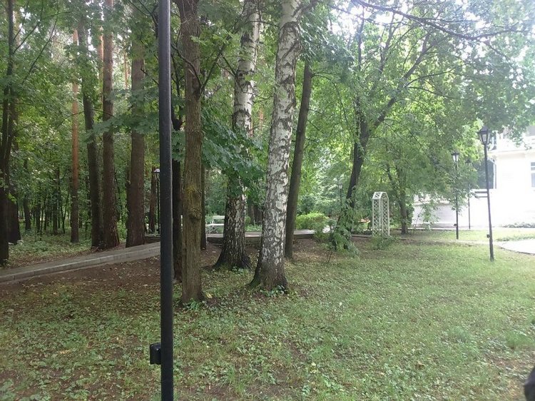 Путешествие в город Сарапул. Часть 1 - Дача Башенина (фото 3)