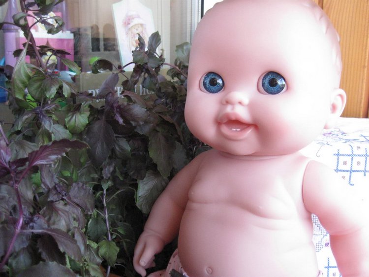 Глазастик и другие куколки