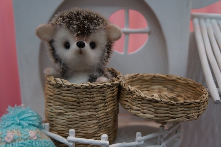 Hello, Teddy 2016! Слоники и ёжики на выставке в Москве. Фоторепортаж