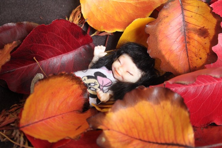 Осень в Австралии — Одежда и обувь для кукол BJD (БЖД): 1/3