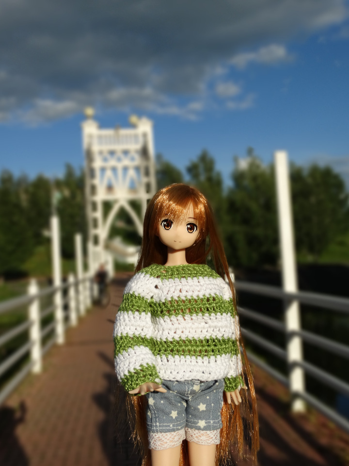 Путешествие с Азоночками Azone doll