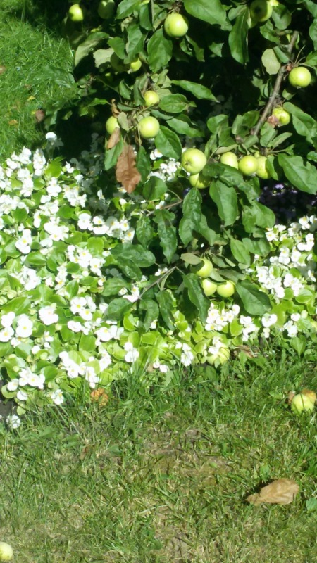 "Есть на Москве места такие..." ч.2. Тайны Коломенского оврага