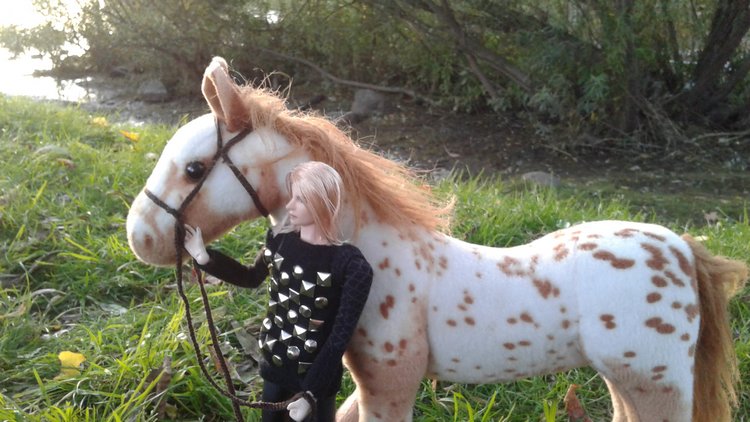 Зимнее солнце. Глава 6. Дом там, где сердце