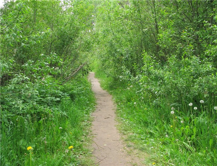 Тверской Водопад — Туризм и путешествия: фотоотчеты из поездок