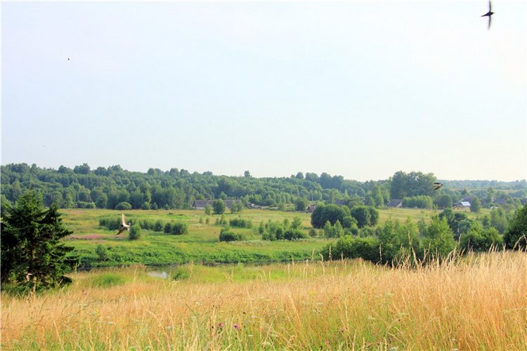 Тверской Водопад — Туризм и путешествия: фотоотчеты из поездок