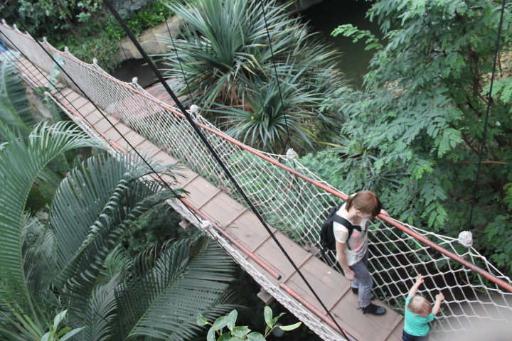 По Германии: зоопарк Лейпцига, часть 2