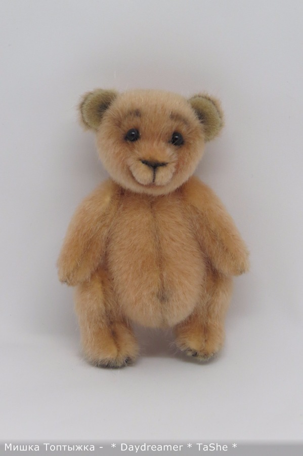 Позитивный мишка по имени Топтыжка