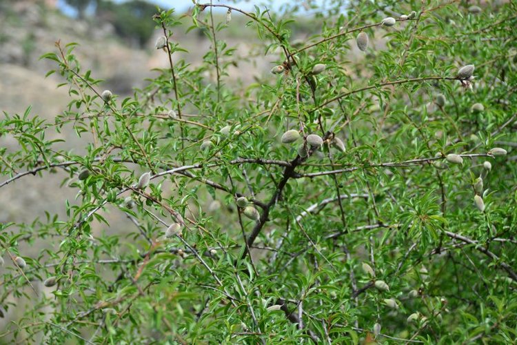 Очарование старинных городов (фото 3)