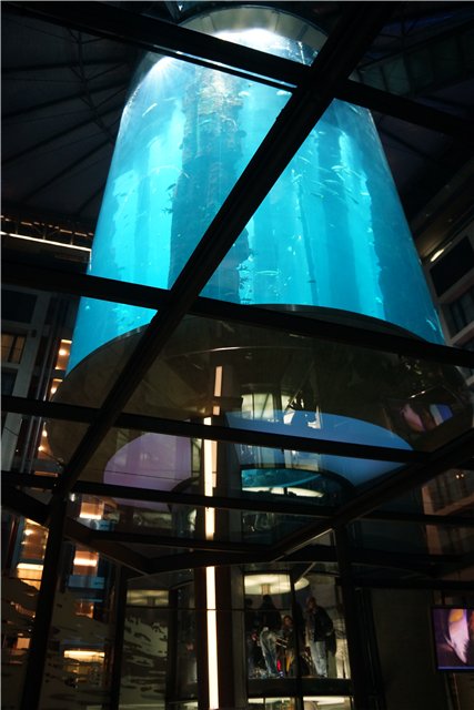 Взятие Берлина. Часть 3. Аква-дом, Улыбка бегемота и Прототип куколок Шильдкрот (фото 4)