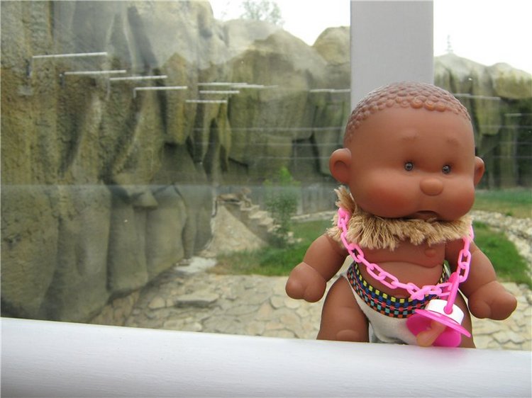 Пупсы Nines Artesanal D'Onil в Ижевском зоопарке