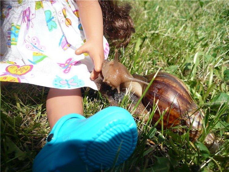 Моя Диана от Euro Girl — Куклы EuroGirls Diana Collection: формат 18" (46 см) (фото 4)