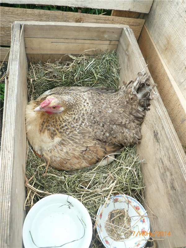 Бабушкина помощница. Винтажная шарнирная куколка Светочка