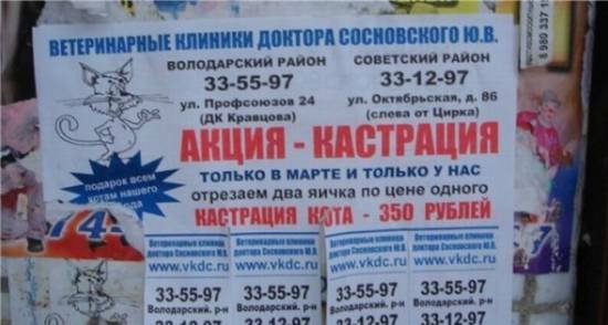 Курс на позитив) или пилюля хорошего настроения на весь день (гарантия!) | Бэйбики Курс на позитив) или пилюля хорошего настроения на весь день (гарантия!)