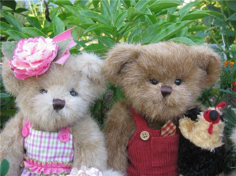 Моя семейка плюшевых мишек Bearington
