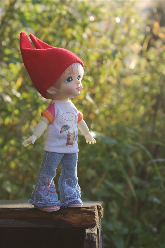 Давайте знакомиться,моя Анюта.(Lati yellow Coco)