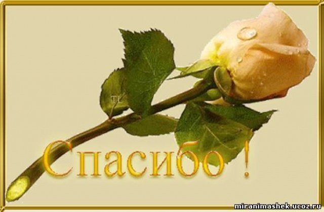 Канруху. Куколка - реборн Элины Кудрявцевой