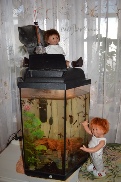 Вихтелята одни дома. Тайная жизнь кукол